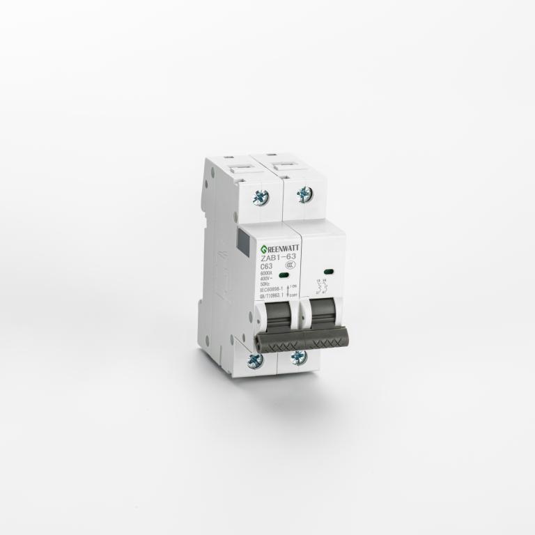 AC 회로 차단기 곡선 C 10A 2P 6kA