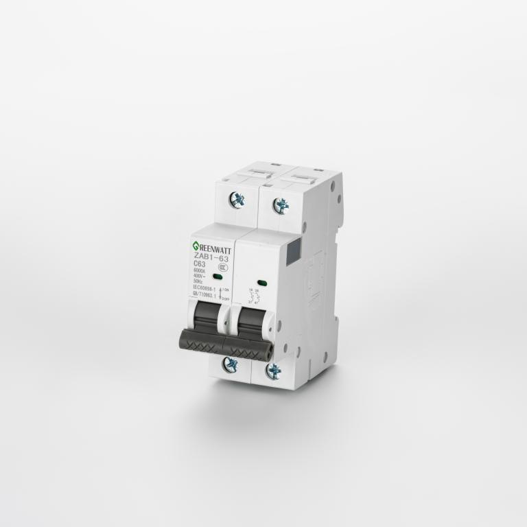 AC 회로 차단기 곡선 C 40A 2P 6kA