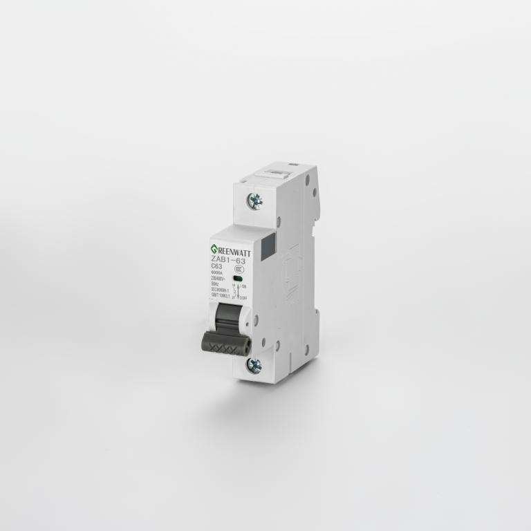 AC 회로 차단기 곡선 C 63A 1P 6kA