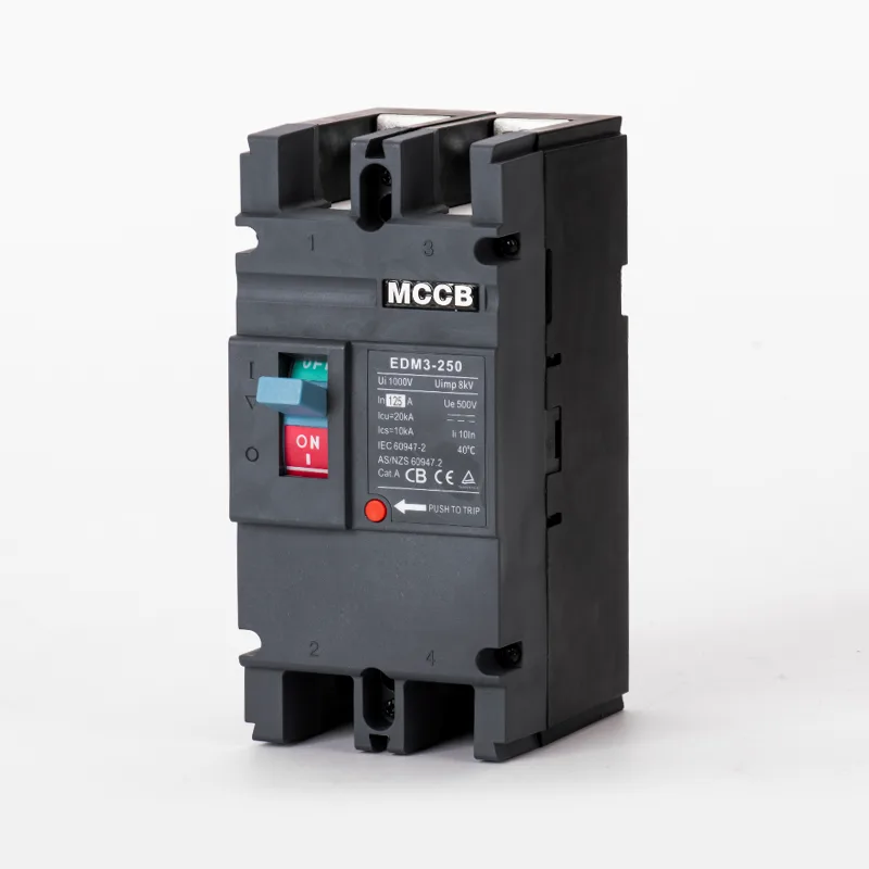DC500V 250A 배선용 차단기